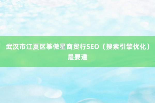 武汉市江夏区筝傲星商贸行SEO（搜索引擎优化）是要道